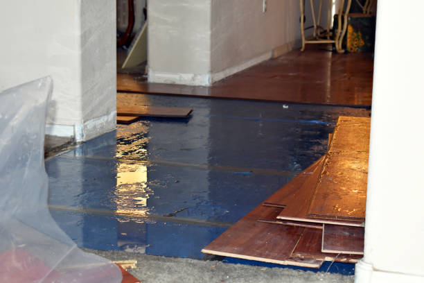 Professional Flood Cleanup technician working in Thornton, TX